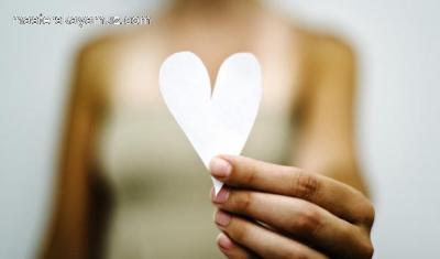 img-8c4fea046b232ea8c64a836a97e0e7a5.jpg